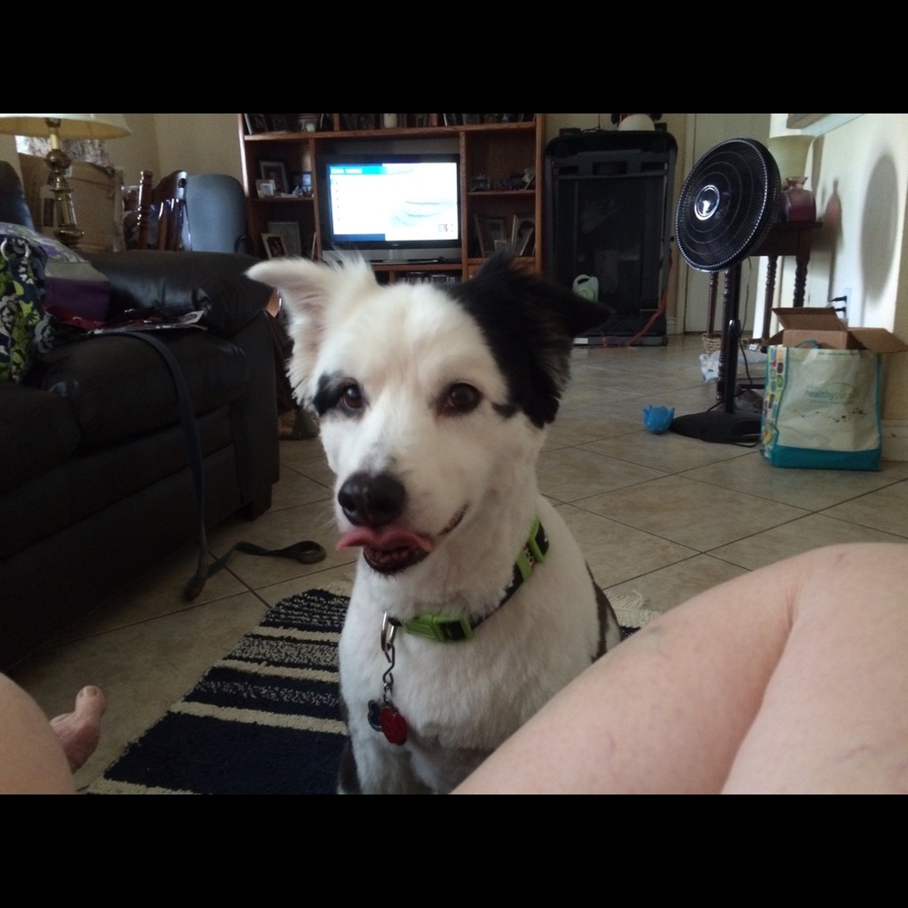 Meet your Posher, Joann